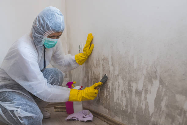 Mold Remediation for Vacation Homes in Clintonville, WI